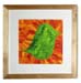 genie orange green