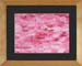 pink no1